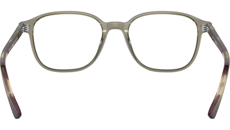 Leonard Optics RB5393 8178