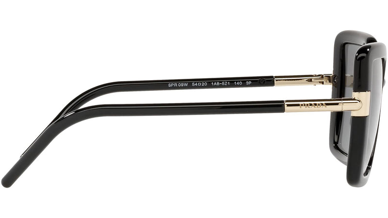 PR 09WS black polar