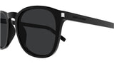 SL 818 001