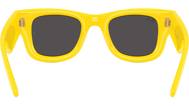 Wayfarer Puffer RB4940 683087