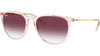 Erika RB4171 67428H