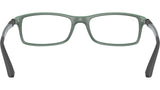 RB7017 Optics 5197