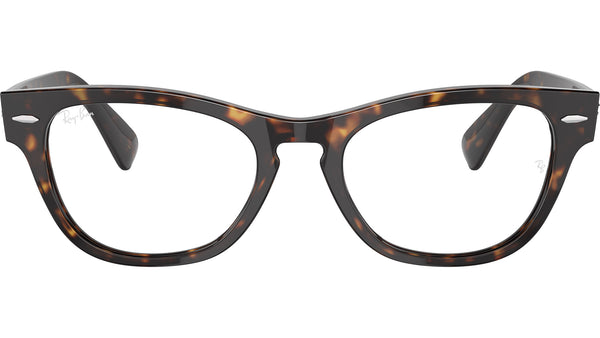 Laramie Optics RB2201V 2012
