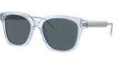 AR 8210U 6081R5 Blue