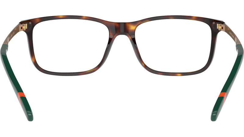 PH2273 6137 Brown Tortoise