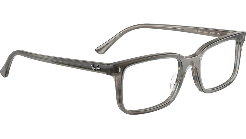 RB5445 Optics 8453