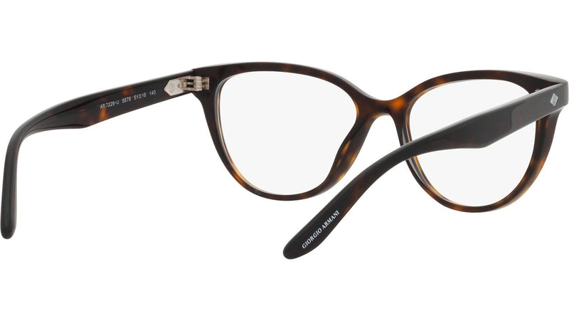 AR 7228U 5879 Tortoise