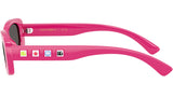 DX 6006U 309887