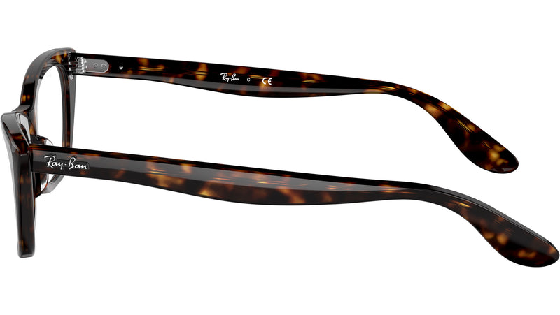 Lady Burbank Optics RB5499 2012