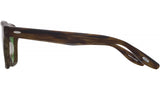 Winton Havana Square Sunglasses