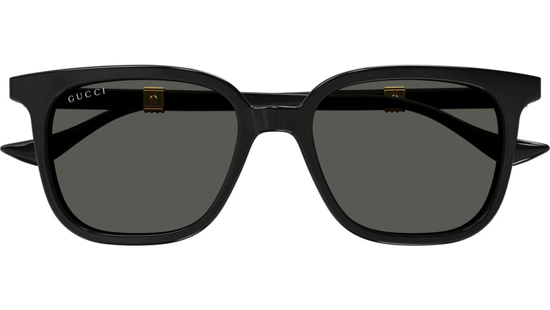 GG1493S 001
