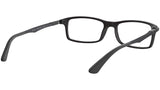 RB7017 Optics 5196