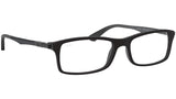 RB7017 Optics 5196