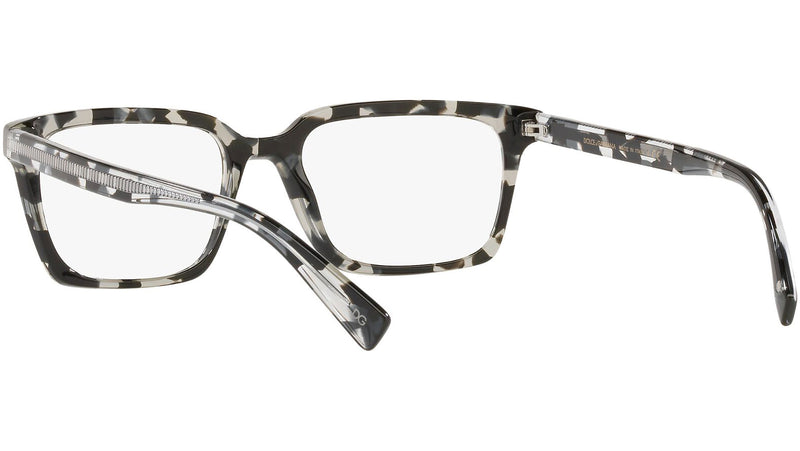 DG 3337 3172 tortoise