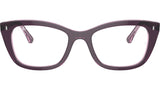 RB5433 Optics 8364