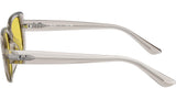 RB4421D 681885