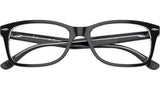 RB5428 Optics 2034