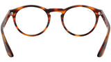 RB5283 striped havana
