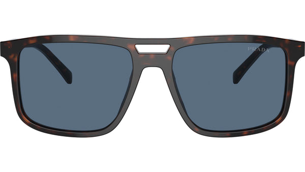 PR A22S 17N06A Tortoise