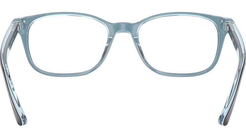 RB5375 Optics 5883