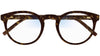 DU0059S 001 tortoise transparent