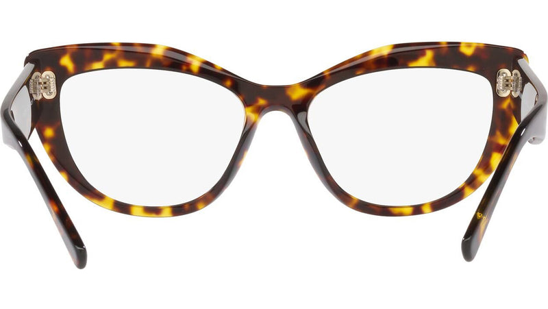 AR 7231 5026 Tortoise