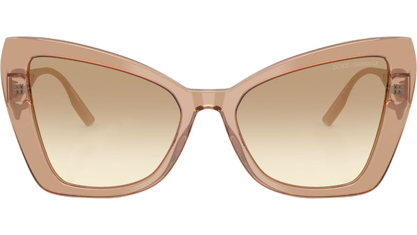 DG 4489 343213 Camel