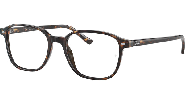 Leonard Optics RB5393 2012