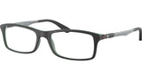 RB7017 Optics 5197