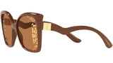 DG 6168 3292P4 brown