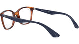 8053672503449_5.jpg