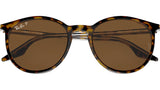 RB2204 139357 Havana Clear