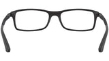 RB7017 Optics 5196