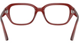 RB7258 Optics 8436