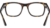 RB7228 Optics 2012