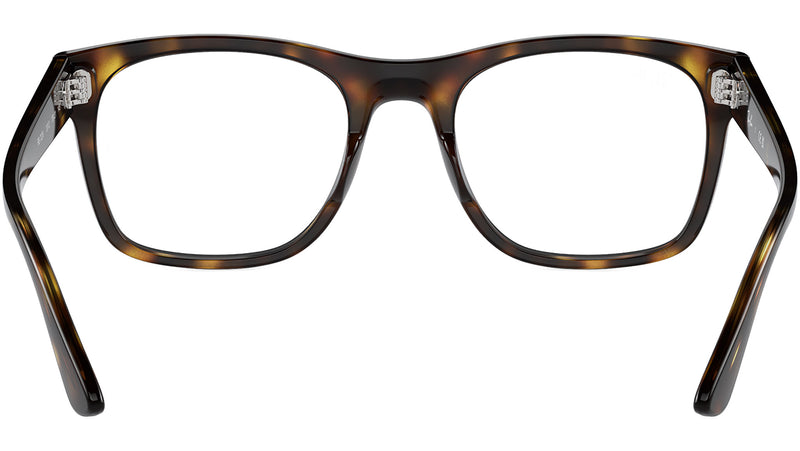 RB7228 Optics 2012