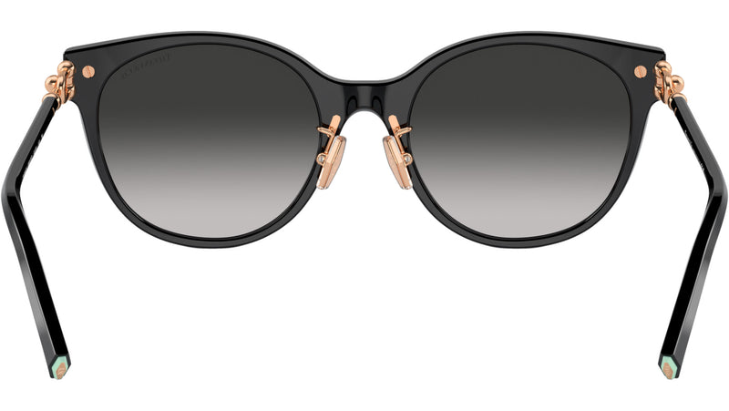 TF4223D 80013C Black