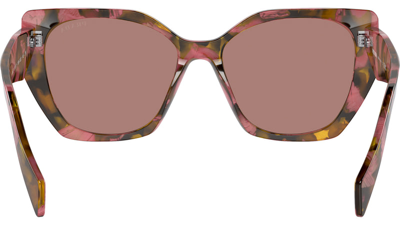PR 19ZS 18N10D Brown