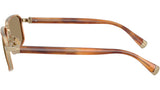BC2009ST 500253
