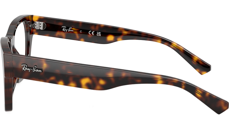RB5448 Optics 2012